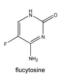 flucytosine structure