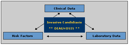The components of the diagnosis